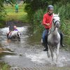 DSC 0810 - Paardenvierdaagse Barchem