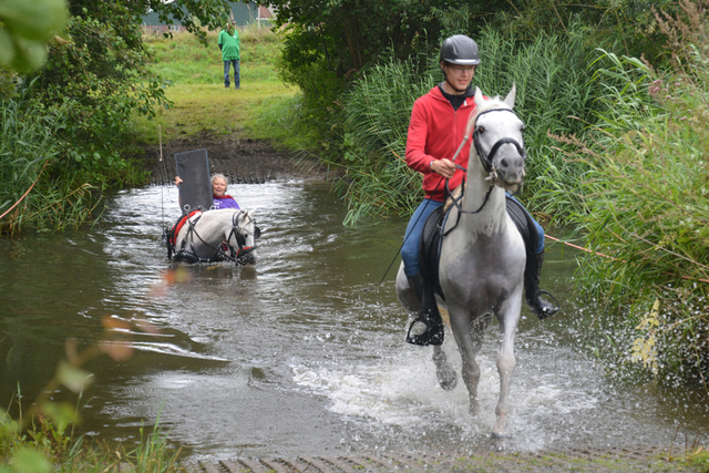 DSC 0810 Paardenvierdaagse Barchem