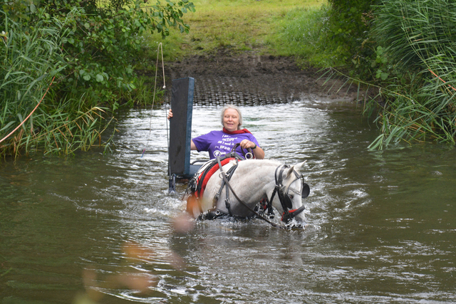 DSC 0811 Paardenvierdaagse Barchem