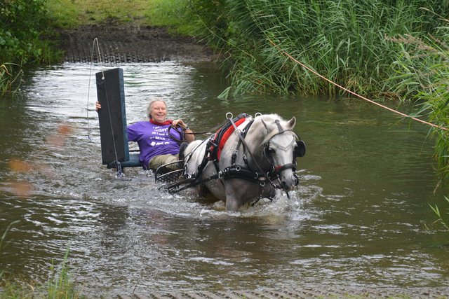 DSC 0814 Paardenvierdaagse Barchem