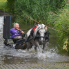 DSC 0816 - Paardenvierdaagse Barchem