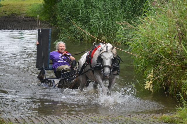 DSC 0816 Paardenvierdaagse Barchem