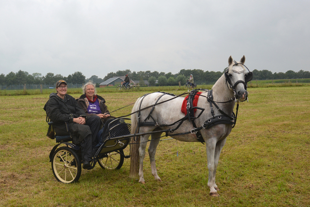 DSC 0821 Paardenvierdaagse Barchem