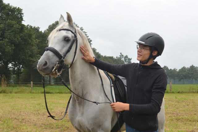 DSC 0824 Paardenvierdaagse Barchem