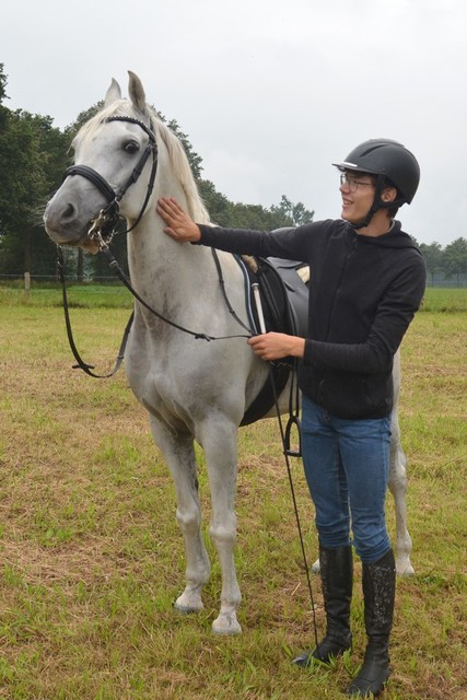 DSC 0825 Paardenvierdaagse Barchem