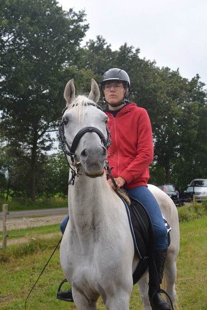 DSC 0827 Paardenvierdaagse Barchem