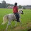 DSC 0828 - Paardenvierdaagse Barchem