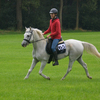 DSC 0835 - Paardenvierdaagse Barchem