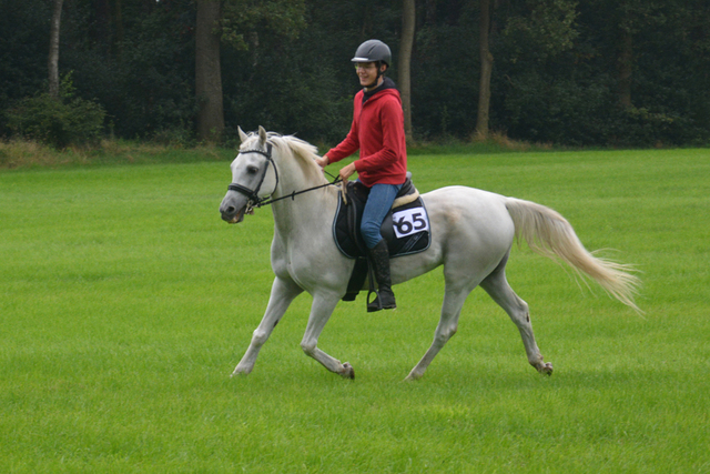 DSC 0835 Paardenvierdaagse Barchem