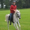 DSC 0841 - Paardenvierdaagse Barchem