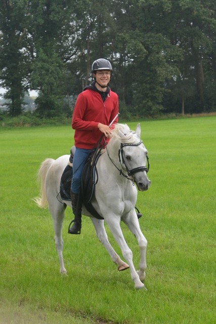 DSC 0841 Paardenvierdaagse Barchem