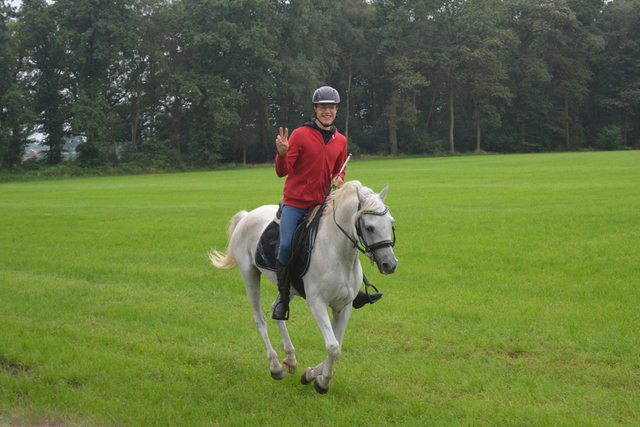 DSC 0843 Paardenvierdaagse Barchem