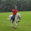 DSC 0843 - Paardenvierdaagse Barchem