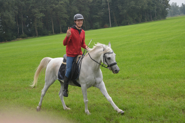 DSC 0845 Paardenvierdaagse Barchem