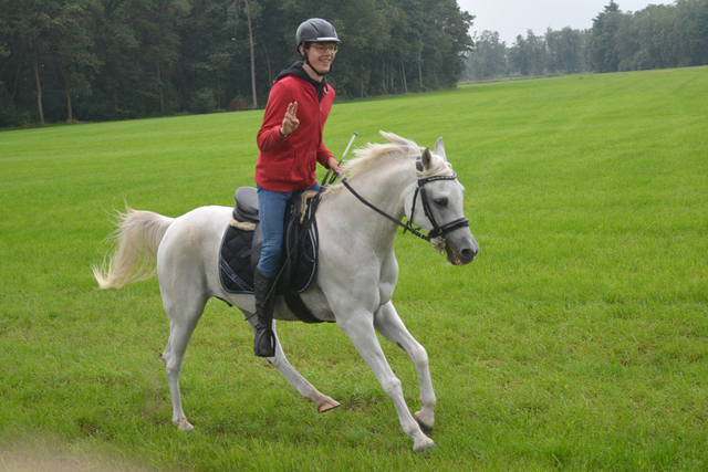 DSC 0847 Paardenvierdaagse Barchem