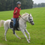 DSC 0847 - Paardenvierdaagse Barchem