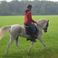 DSC 0860 - Paardenvierdaagse Barchem