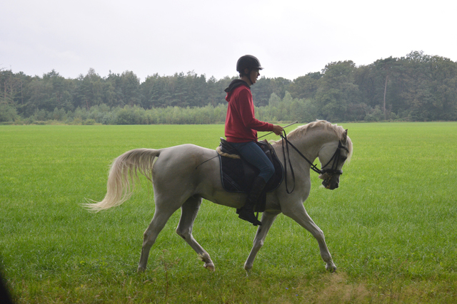 DSC 0863 Paardenvierdaagse Barchem