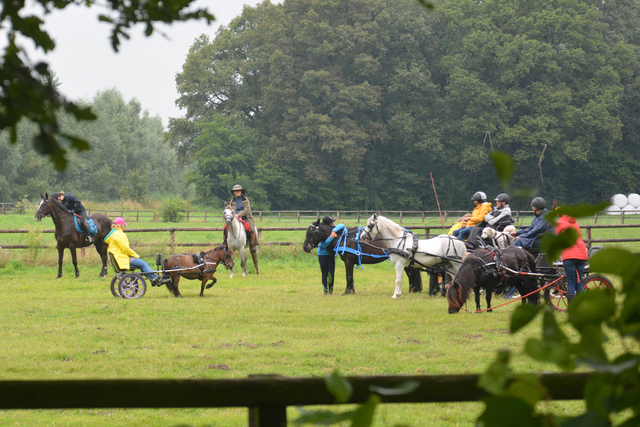 DSC 0892 Paardenvierdaagse Barchem