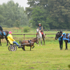 DSC 0893 - Paardenvierdaagse Barchem