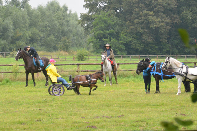 DSC 0893 Paardenvierdaagse Barchem