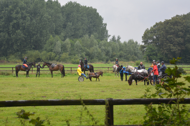 DSC 0894 Paardenvierdaagse Barchem