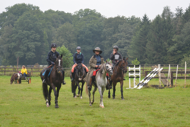 DSC 0896 Paardenvierdaagse Barchem