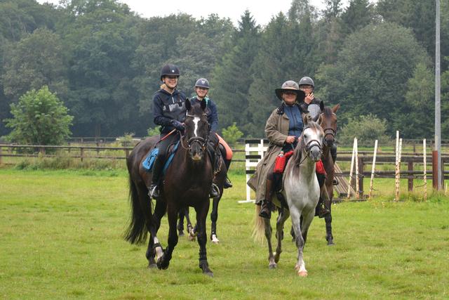 DSC 0898 Paardenvierdaagse Barchem