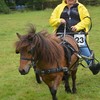 DSC 0900 - Paardenvierdaagse Barchem