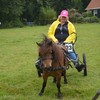 DSC 0901 - Paardenvierdaagse Barchem