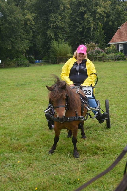 DSC 0901 Paardenvierdaagse Barchem