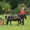 DSC 0904 - Paardenvierdaagse Barchem