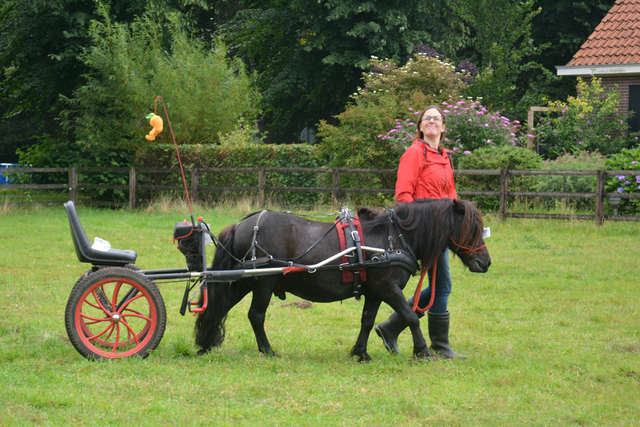 DSC 0904 Paardenvierdaagse Barchem