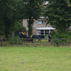 DSC 0908 - Paardenvierdaagse Barchem