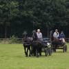 DSC 0913 - Paardenvierdaagse Barchem