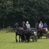 DSC 0914 - Paardenvierdaagse Barchem