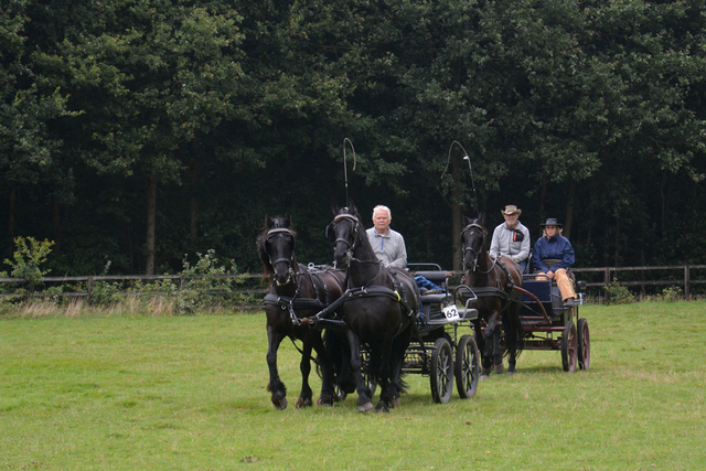 DSC 0914 Paardenvierdaagse Barchem