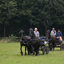 DSC 0914 - Paardenvierdaagse Barchem