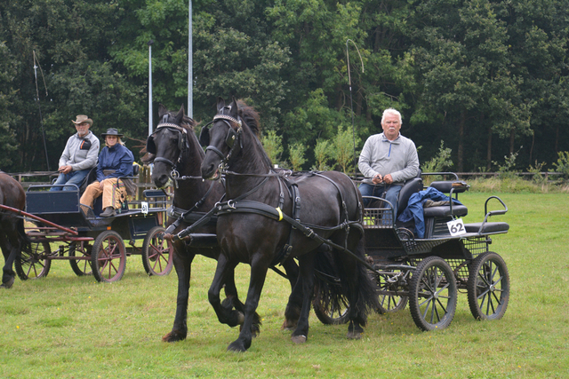 DSC 0918 Paardenvierdaagse Barchem