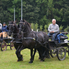 DSC 0919 - Paardenvierdaagse Barchem