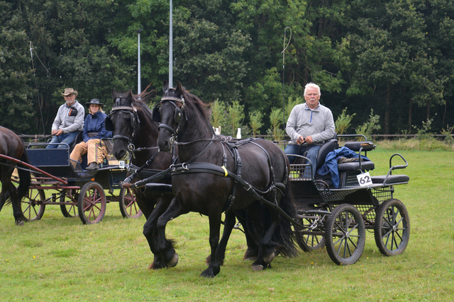 DSC 0919 Paardenvierdaagse Barchem