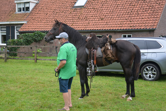 DSC 0924 Paardenvierdaagse Barchem