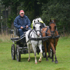 DSC 0929 - Paardenvierdaagse Barchem