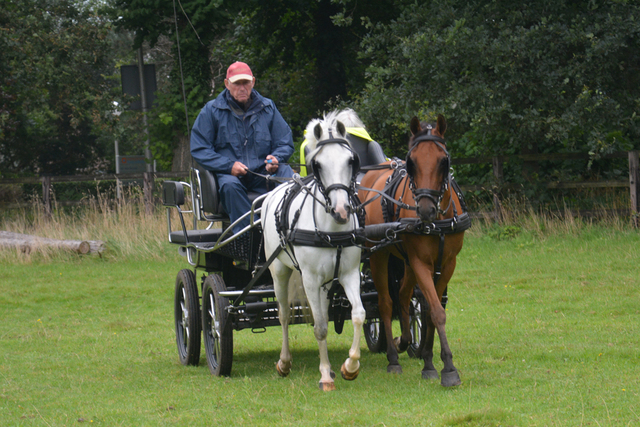 DSC 0929 Paardenvierdaagse Barchem