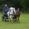 DSC 0931 - Paardenvierdaagse Barchem