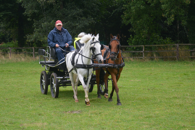 DSC 0931 Paardenvierdaagse Barchem