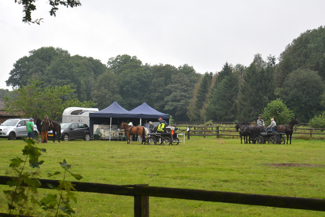 DSC 0932 Paardenvierdaagse Barchem