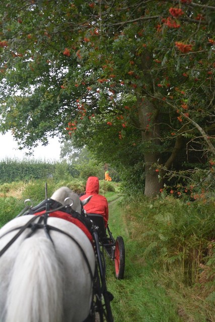 DSC 0970 Paardenvierdaagse Barchem