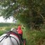 DSC 0970 - Paardenvierdaagse Barchem