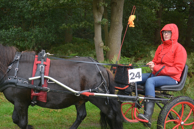 DSC 0972 Paardenvierdaagse Barchem